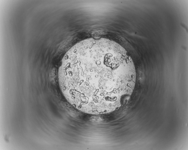 X0000101670519200807311500