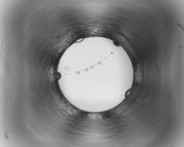 X0000101670520200807311500