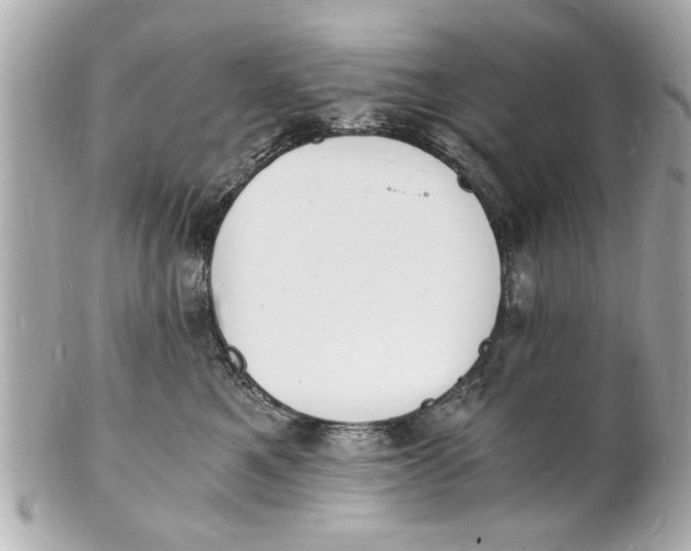 X0000101670521200807311500