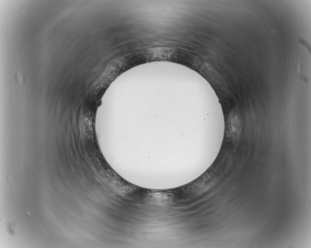 X0000101670522200807311500