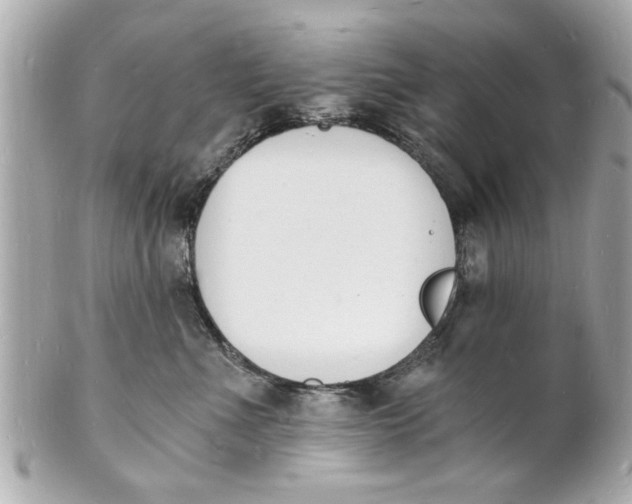 X0000101670523200807311500