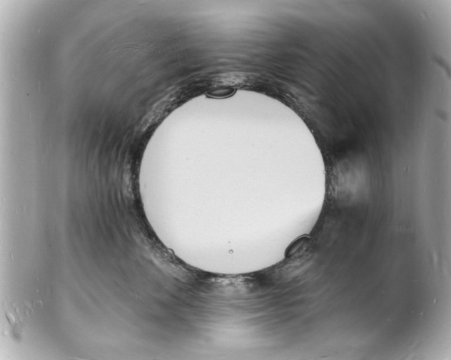 X0000101670524200807311500