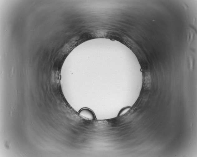 X0000101670525200807311500