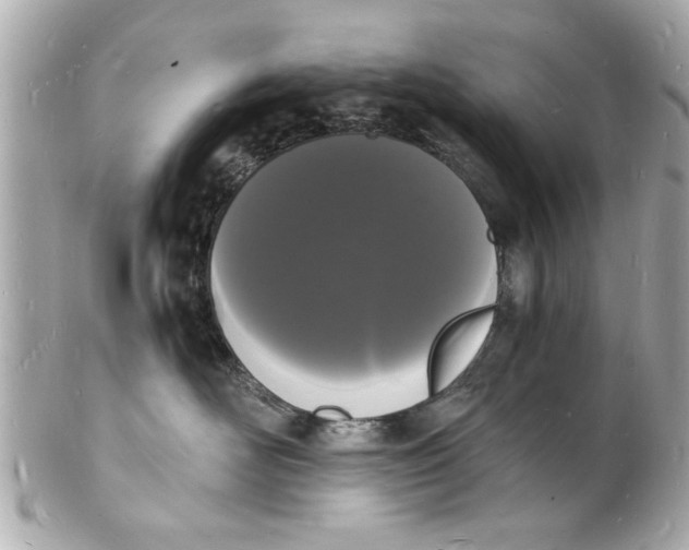 X0000101670526200807311500