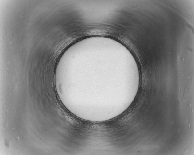 X0000101670529200807311459