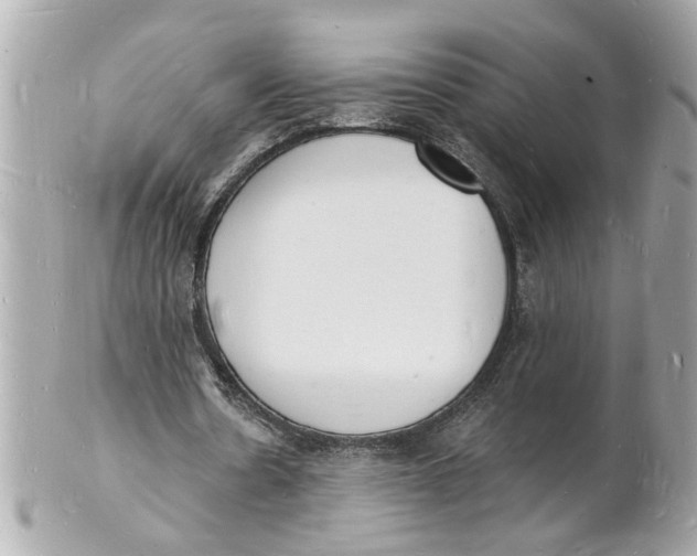 X0000101670530200807311459