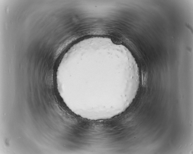 X0000101670531200807311459