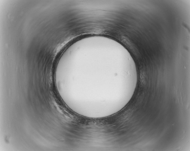 X0000101670532200807311459