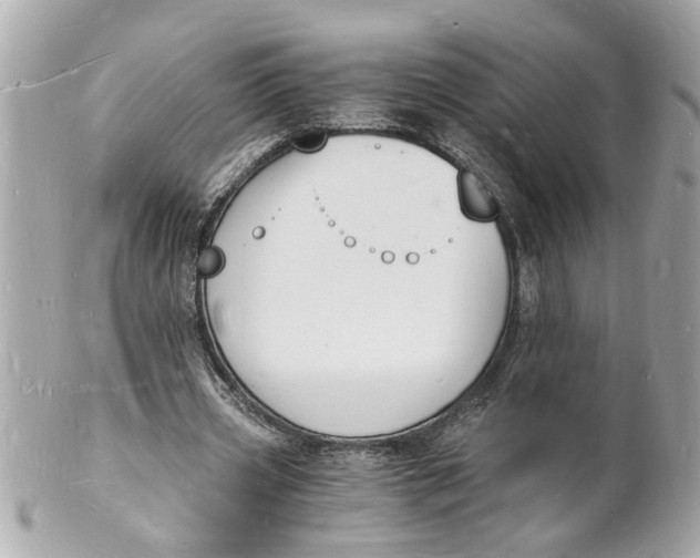 X0000101670533200807311459