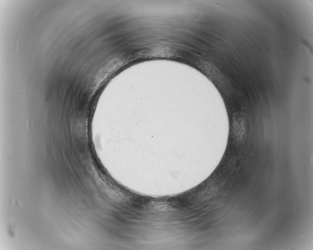 X0000101670534200807311459