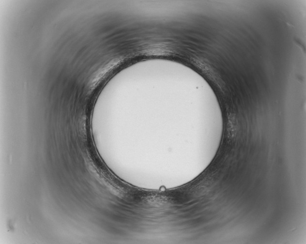X0000101670535200807311459