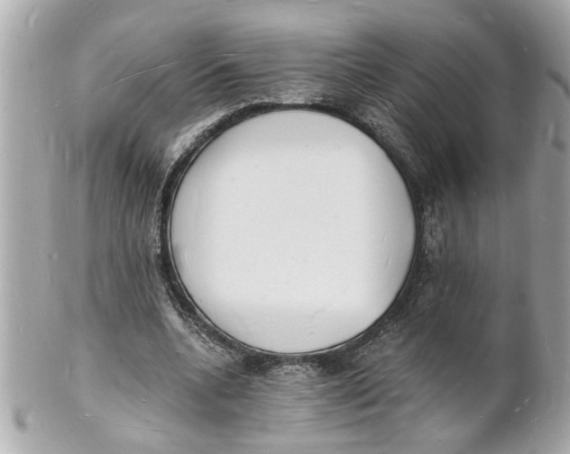 X0000101670536200807311459