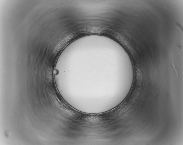 X0000101670537200807311459