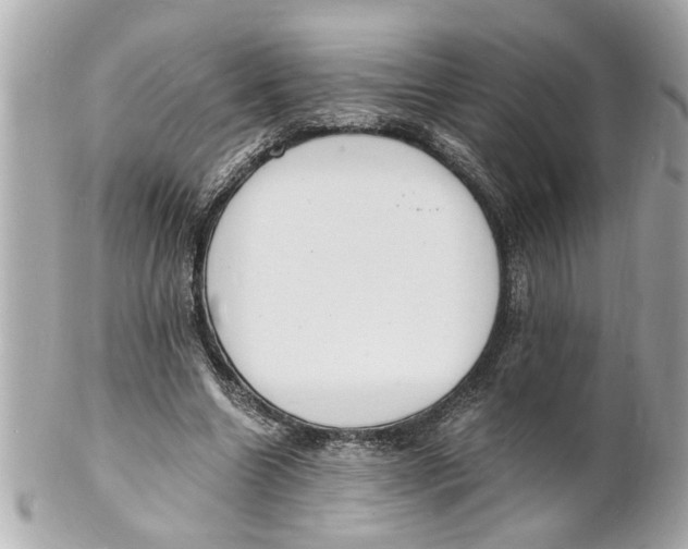 X0000101670538200807311459