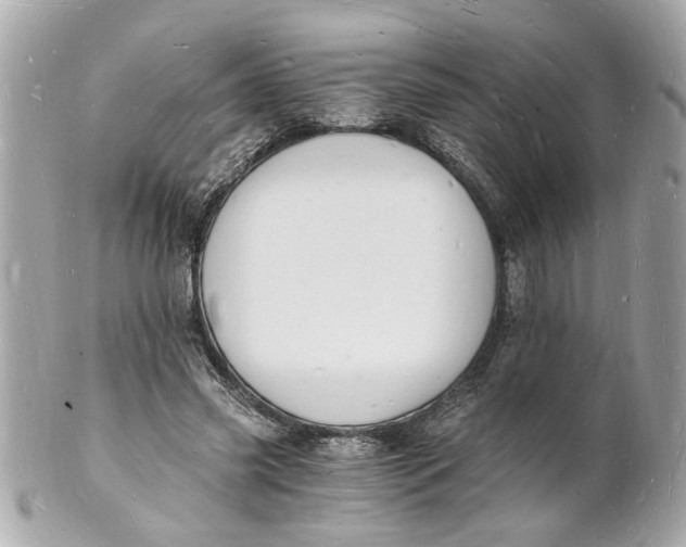 X0000101670541200807311459
