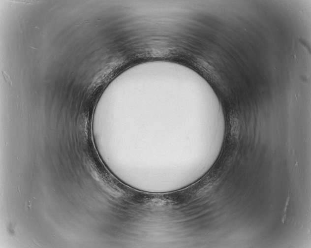 X0000101670542200807311459