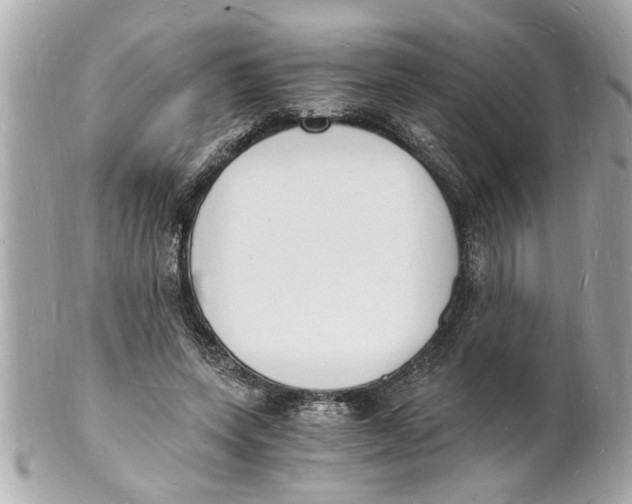 X0000101670543200807311459