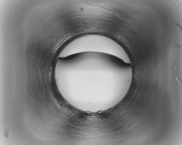 X0000101670544200807311459