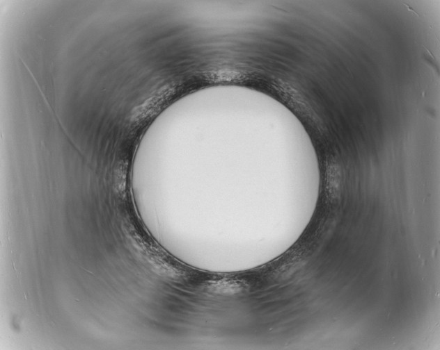 X0000101670545200807311459