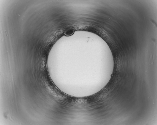 X0000101670546200807311459