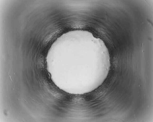 X0000101670547200807311459
