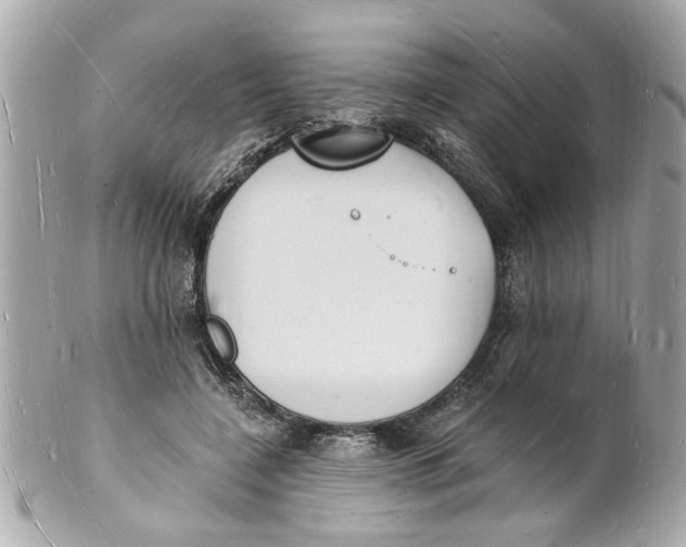 X0000101670548200807311459