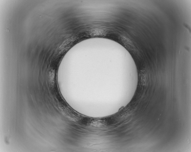 X0000101670550200807311459