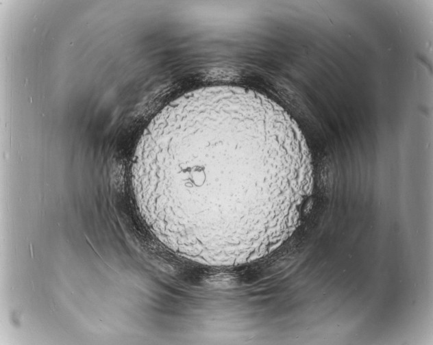 X0000101670551200807311459
