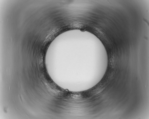 X0000101670552200807311459