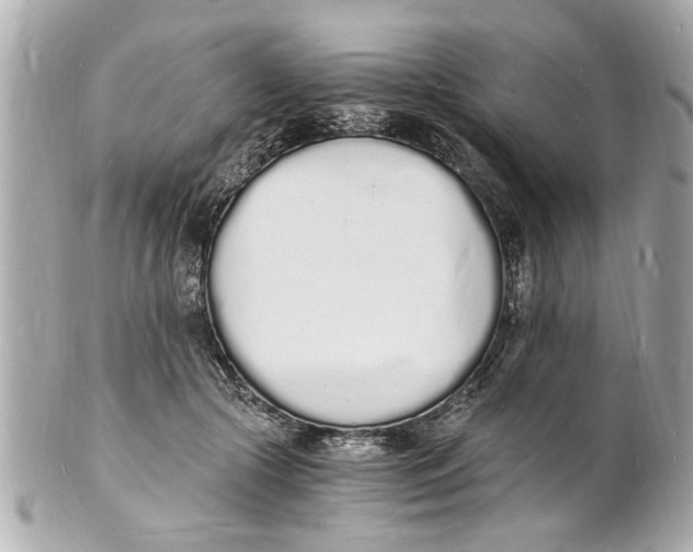 X0000101670553200807311459