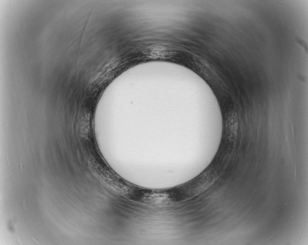 X0000101670554200807311459