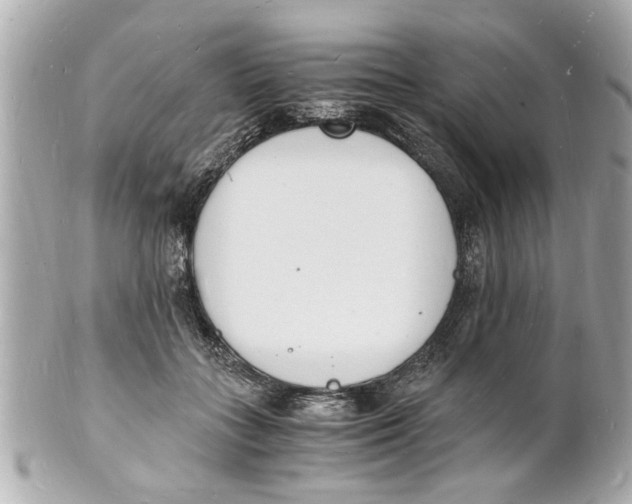 X0000101670555200807311459