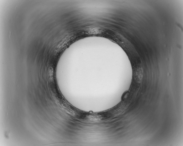 X0000101670556200807311459