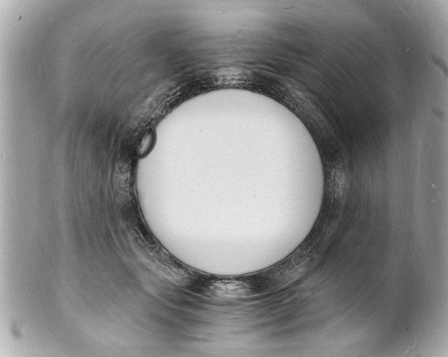 X0000101670557200807311500