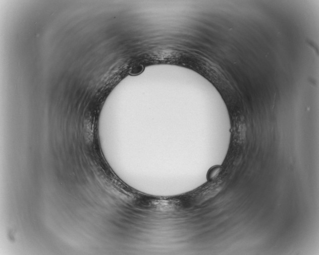 X0000101670558200807311500