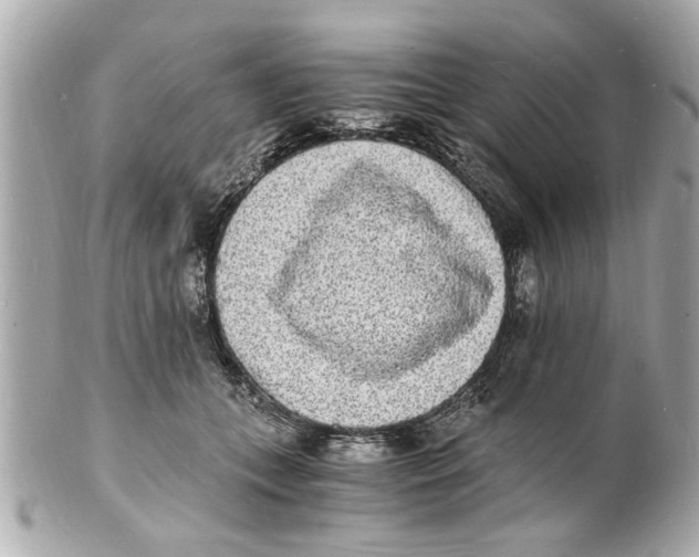 X0000101670559200807311500