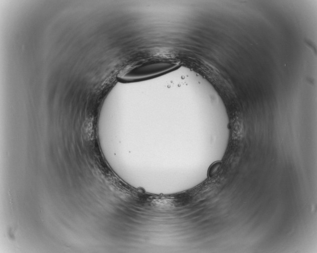 X0000101670560200807311500