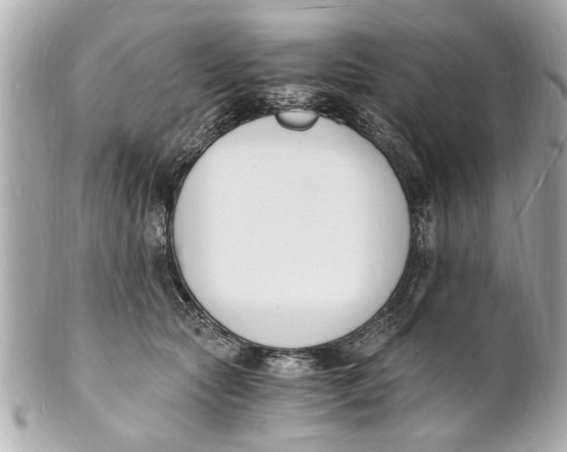 X0000101670561200807311500