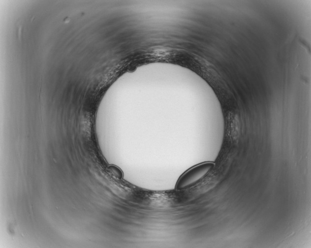 X0000101670562200807311500