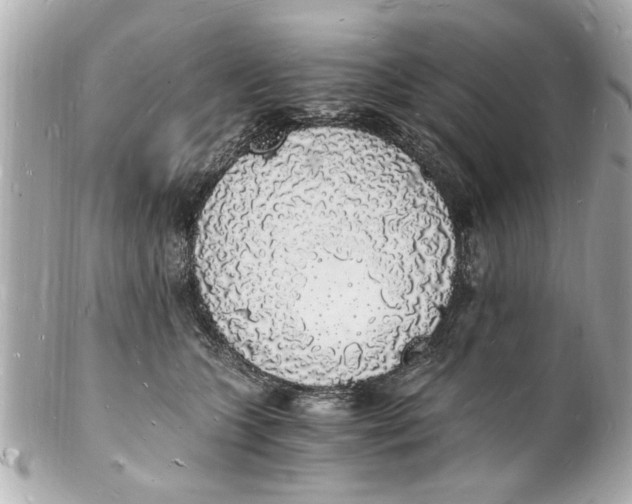 X0000101670563200807311500