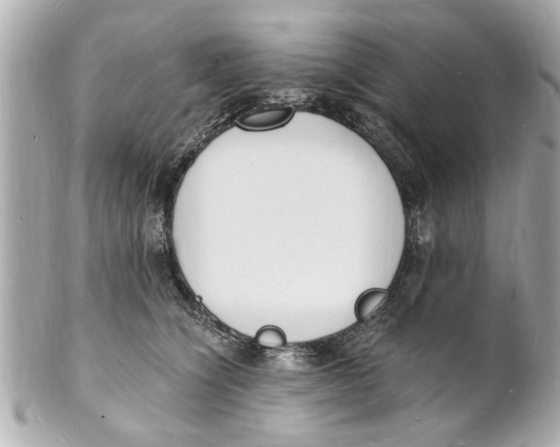 X0000101670564200807311500