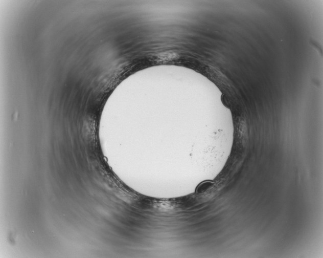 X0000101670565200807311500