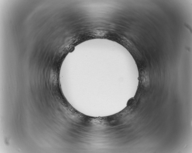 X0000101670568200807311500