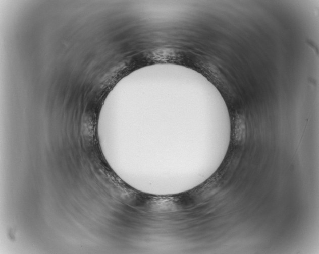 X0000101670569200807311500