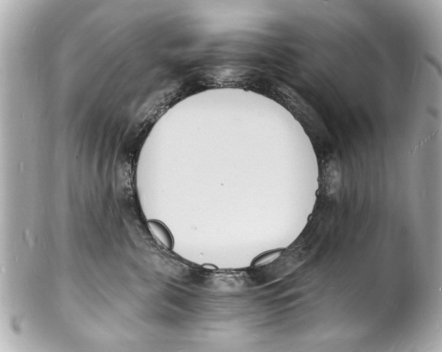 X0000101670571200807311500