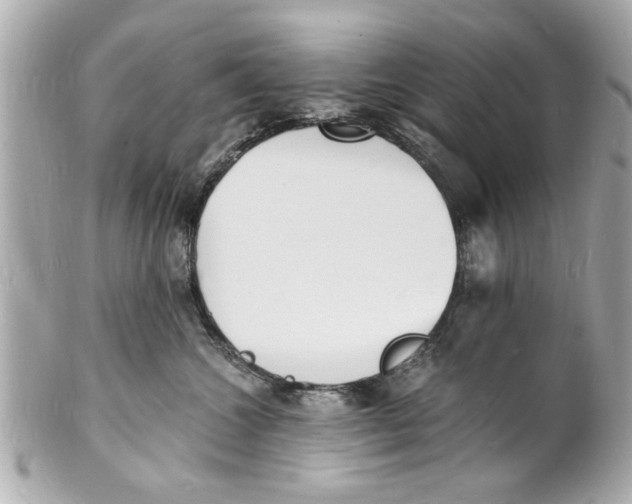 X0000101670572200807311500