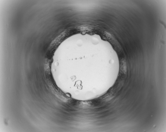 X0000101670573200807311500