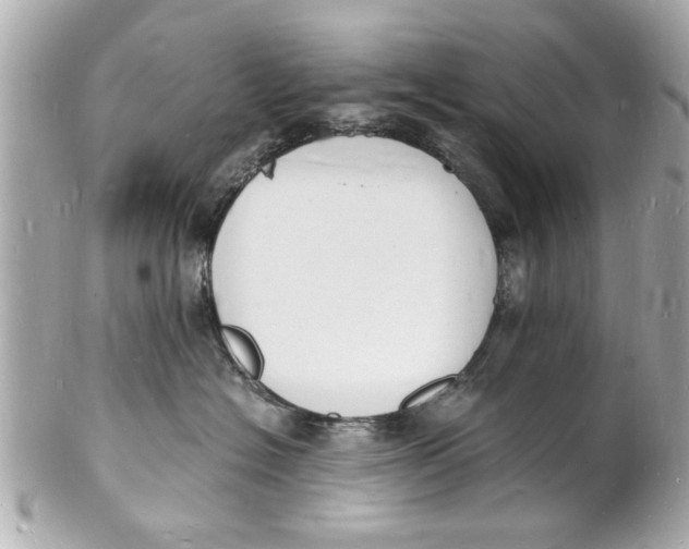 X0000101670574200807311500