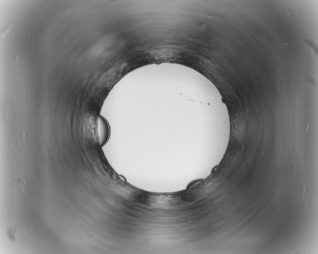 X0000101670575200807311500