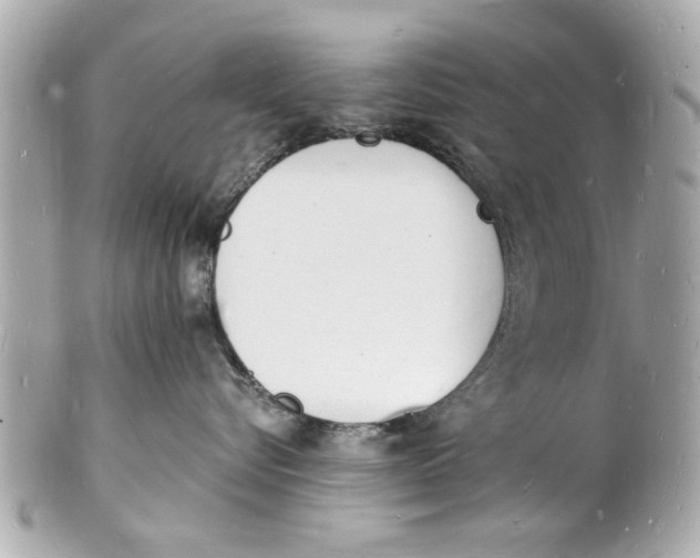 X0000101670576200807311500